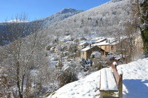 Lercoul sous la neige